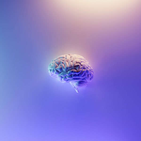 Growing my Second Brain in&hellip;